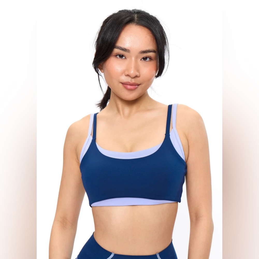 BuffBunny Blue and Purple Sports Bra